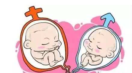中医妇科